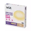 Inteligentné stropné svietidlo Wiz Adria Ceiling 17 W — Wi‑Fi/Bluetooth, 320×68 mm, biela