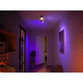 Philips Hue White and colour ambience Centris 2-Spot stropné svietidlo