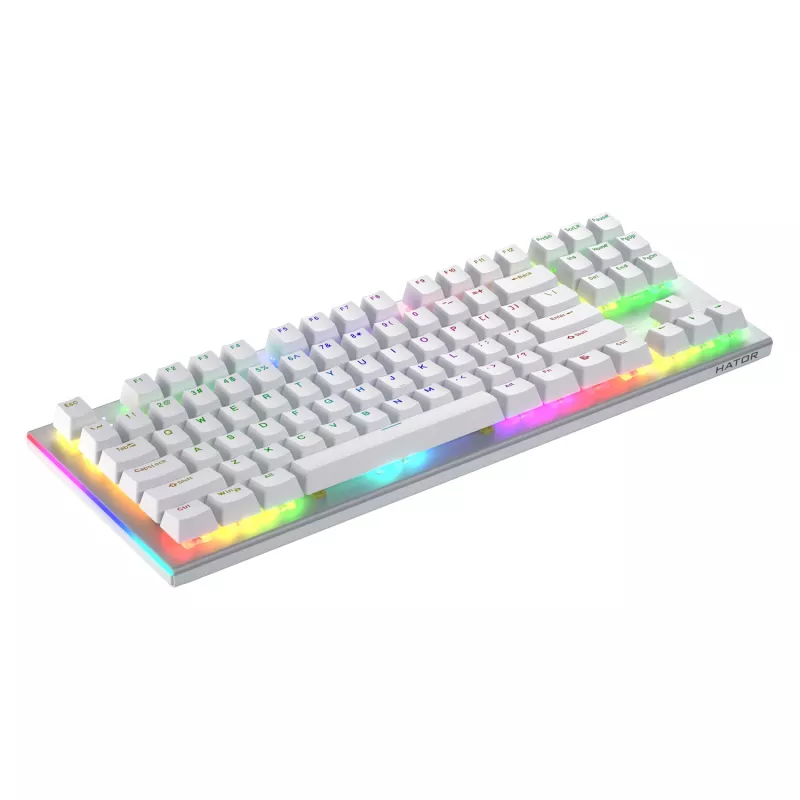 HATOR Gravity X TKL klávesnica herná USB QWERTY US English biela