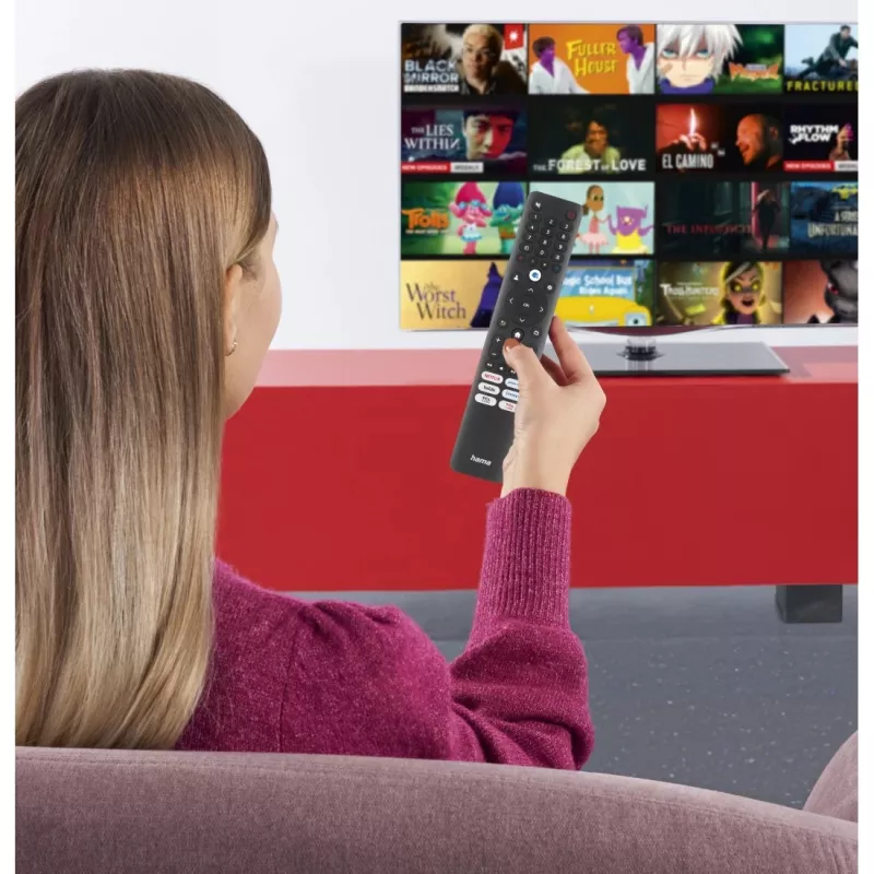 Hama 00221068 diaľkový ovládač IR Wireless TV tlačidlá