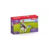 Hracia figúrka Schleich HORSE CLUB 42518