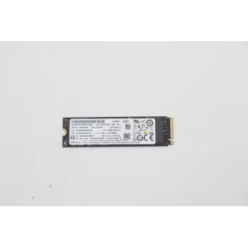 Lenovo 5SS0V26441 interné solid-state úložisko 256 GB M.2 PCI Express 3.0