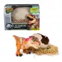 Jurassic World Primal Hatch interaktívny hračkový dinosaurus a vajíčko, vyliahnutie a trénovanie vlastného baby dina s viac ako 100 zvukmi a reakciami, detská hračka pre chlapcov a dievčatá od 5 rokov