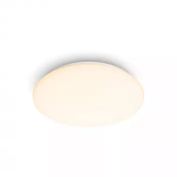Philips Functional Moire stropné svietidlo 10 W, LED, pevne zabudovaný zdroj svetla, 2700 K, 1000 lm, IP20, biela