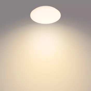 Philips Functional Moire stropné svietidlo 10 W, LED, pevne zabudovaný zdroj svetla, 2700 K, 1000 lm, IP20, biela