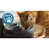 Automatická fontánka pre domáce zvieratá Philips 3000 Series PAW3210/02, 2,2 L, USB/AC, čierna, plast