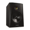 T8V - aktívny monitor