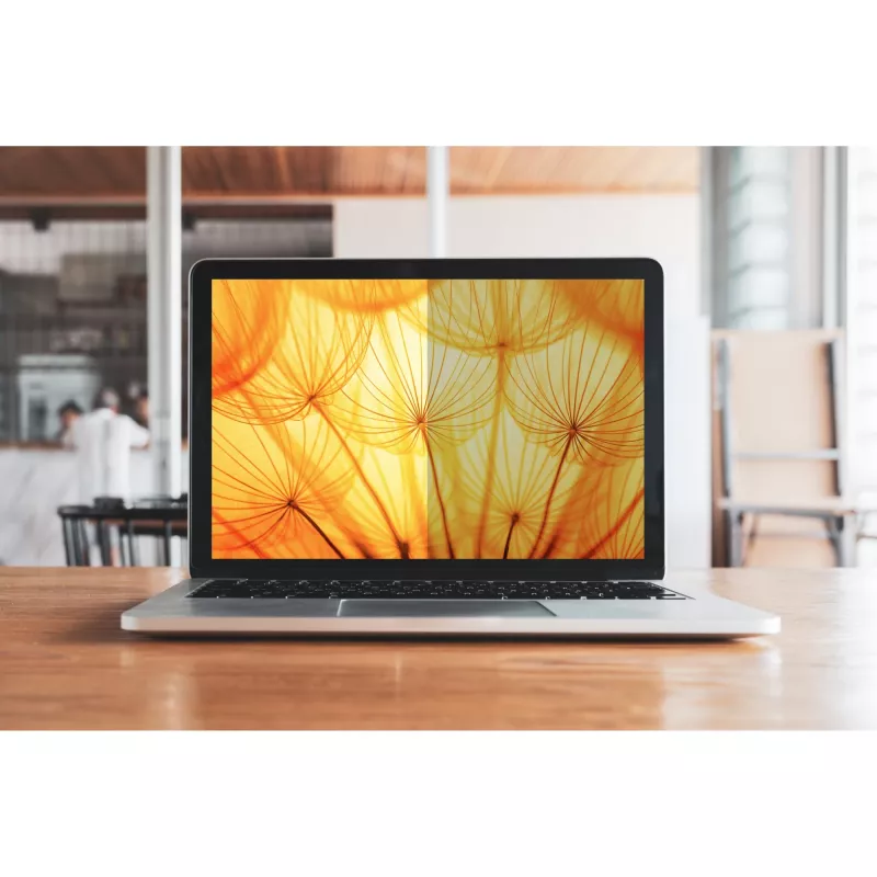 3M - filter proti zvedavým pohľadom pre notebook - jasná obrazovka - samolepiaci - 34,2 cm (13.5) - pre Microsoft Surface Laptop (13.5), Laptop 2 (13.5) (7100287810)