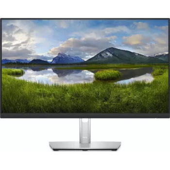 DELL P Series 60,45 cm (23,8