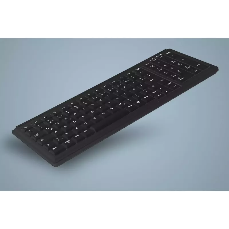 Active Key AK-7000 klávesnica univerzálna USB QWERTY US International čierna