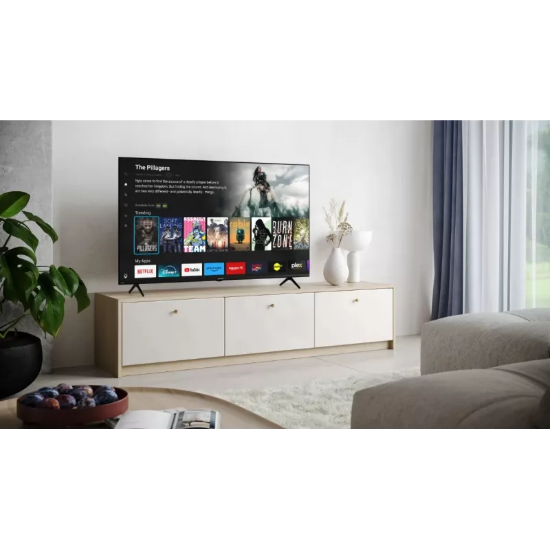 LED TV 55