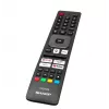 LED TV 55