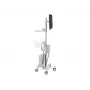 Ergotron 24-818-211 displej