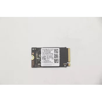 Lenovo 5SS0V42253 interný solid-state disk M.2 256 GB PCI Express (5SS0V42253)