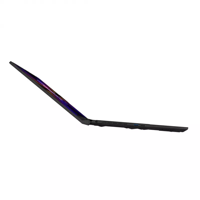 Notebook MSI Katana 17 B13VEK-1449XPL 43,9 cm (17,3