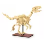 Stavebnica Jamara CaDA dinosaurus fosília Velociraptor — 256 dielov, vek 8+, béžová/hnedá