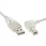 USB 2.0 kábel InLine Type-A (zahnutý) na Type-B konektor samec, 0,3 m, transparentný
