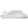 MSI FORGE K210 W COMBO WHITE US klávesnica myš v balení Home/Office USB QWERTY US English