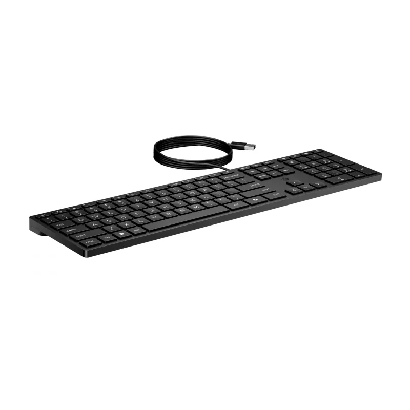 HP Wired Desktop 320K klávesnica Full-Size USB membránová čierna