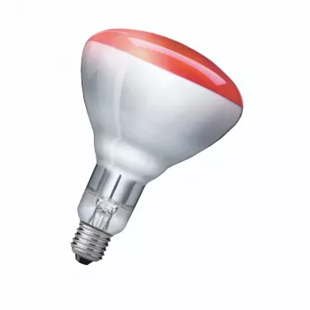 Infračervená lampa Philips 923212043801 250 W 5000 h 230-250 V