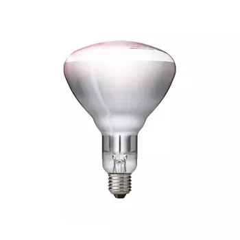 Infračervená lampa Philips 57522725 150 W 5000 h 230-250 V