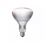 Infračervená lampa Philips 57522725 150 W 5000 h 230-250 V