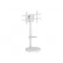 TECHLY podlahový stojan s policou na kolieskach pre LCD/LED/Plazma TV 37-86 palcov biely