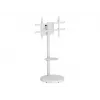 TECHLY podlahový stojan s policou na kolieskach pre LCD/LED/Plazma TV 37-86 palcov biely