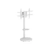 TECHLY podlahový stojan s policou na kolieskach pre LCD/LED/Plazma TV 37-86 palcov biely