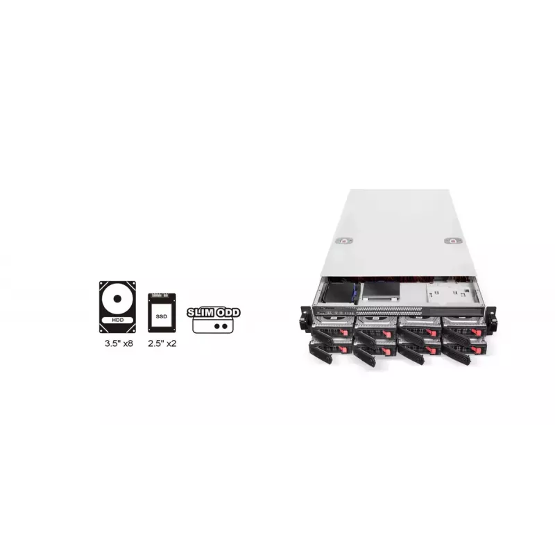 HDD puzdro Silverstone RM22-308 2,5/3,5 palca 10 diskov čierna biela