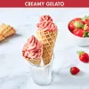 Magimix Gelato Expert Kompresorový stroj na zmrzlinu, 2 L, 180 W, nehrdzavejúca oceľ