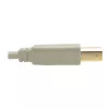 Kábel USB 2.0 A na B Tripp Lite U022-006-BE 1,8 m béžový
