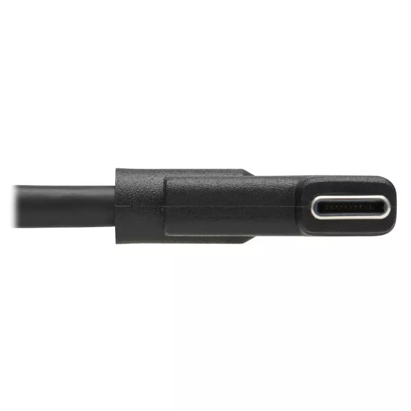 USB-C kábel Tripp Lite U420-02M-RA 2 m USB 3.2 Gen 1 Thunderbolt 3 zahnutý