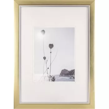 Rám na fotografie Walther Beyond DIN A3 29,7×42 cm umelá živica šampanská/zlatá