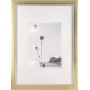Rám na fotografie Walther Beyond DIN A3 29,7×42 cm umelá živica šampanská/zlatá