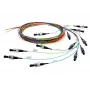 Telegärtner InfiniBand/optický kábel 2 m 12x SC viacfarebný