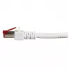Sieťový kábel EFB Elektronik K5518.30 RJ-45 Cat6 30 m biely
