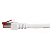 Sieťový kábel EFB Elektronik K5518.50 RJ-45 Cat6 50 m biely