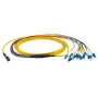 Optický kábel EFB Elektronik MTPF12LCOS2-10 10 m