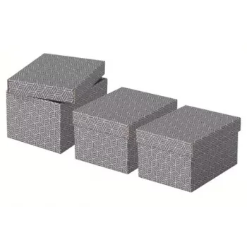 Úložná krabica Esselte 628281 sivá obdĺžniková 200x255x150 mm