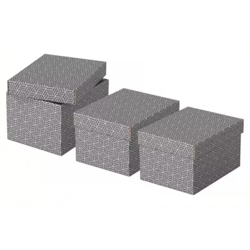 Úložná krabica Esselte 628281 sivá obdĺžniková 200x255x150 mm