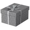 Úložná krabica Esselte 628281 sivá obdĺžniková 200x255x150 mm