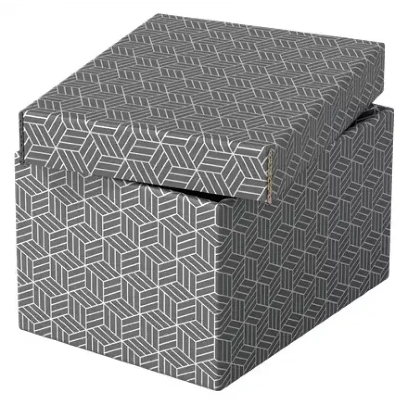 Úložná krabica Esselte 628281 sivá obdĺžniková 200x255x150 mm