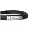 DAC kábel BlueOptics PAN-QSFPDD-DAC-2M-BL QSFP-DD InfiniBand 2 m čierny