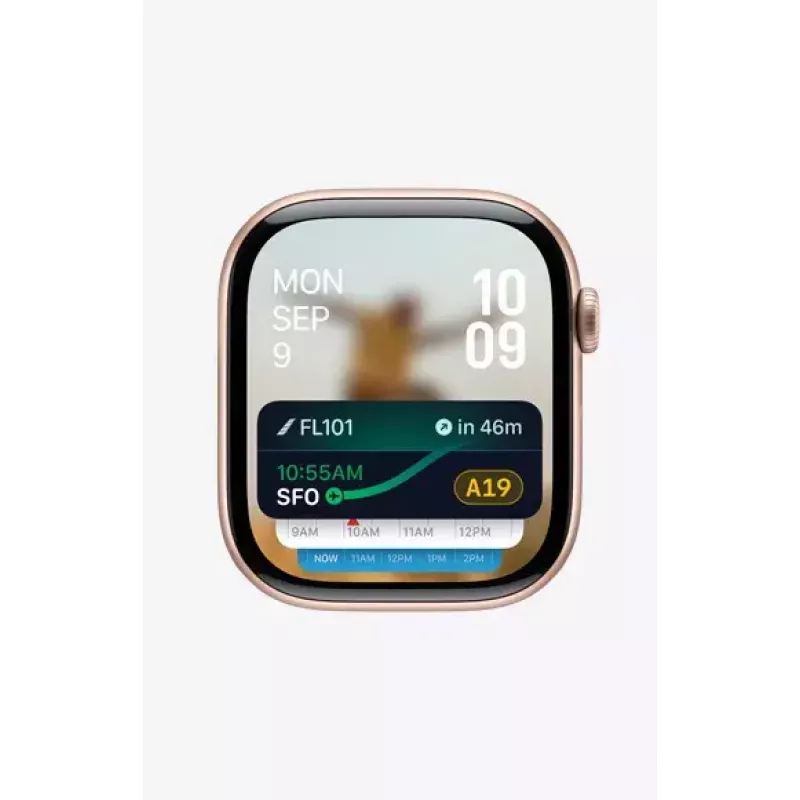 Smartwatch Apple Watch Series 10 GPS + Cellular 46mm Natural titánové puzdro s Natural Milanese Loop – S/M