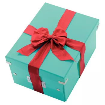 Úložná krabica Leitz Click & Store Medium Box