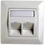 RJ45 adaptérový rámik Cat.5e Telegärtner H02010A0040 45° dvojitý 80x80 mm alpská biely