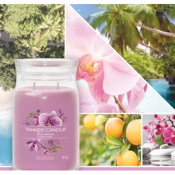 Vosková sviečka Yankee Candle Wild Orchid výška 157 mm šírka 93 mm