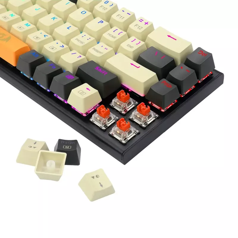 Klávesnica REDRAGON K633CGO-RGB Ryze Mechanical Wired USB čierna biela