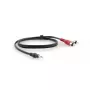 Audio kábel Kramer Electronics C-A35M/2RAM-10 3 m 3,5 mm 2xRCA čierny